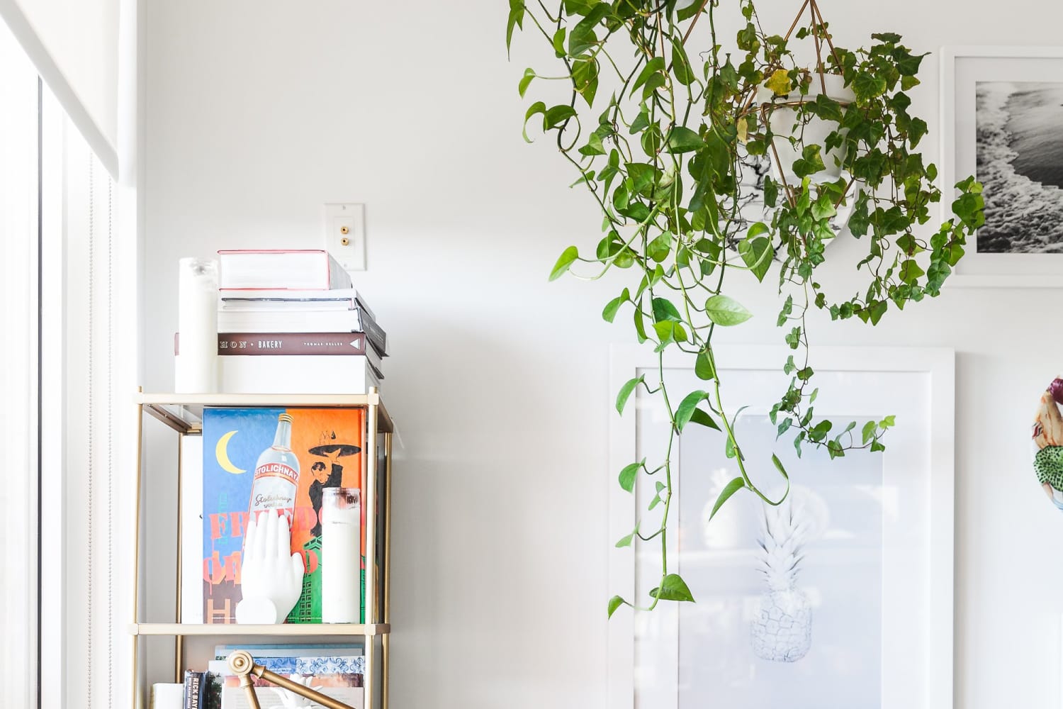 How To Hang Vines On Wall Without Hooks